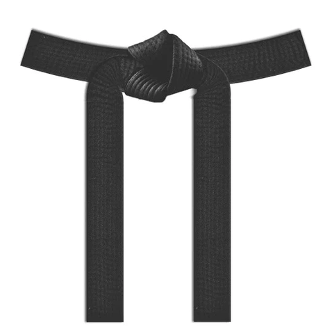 Blank Black Belt (IF WE ARE OUT OF STOCK CHECK THE GEN 2 BLACK BELT LISTING)